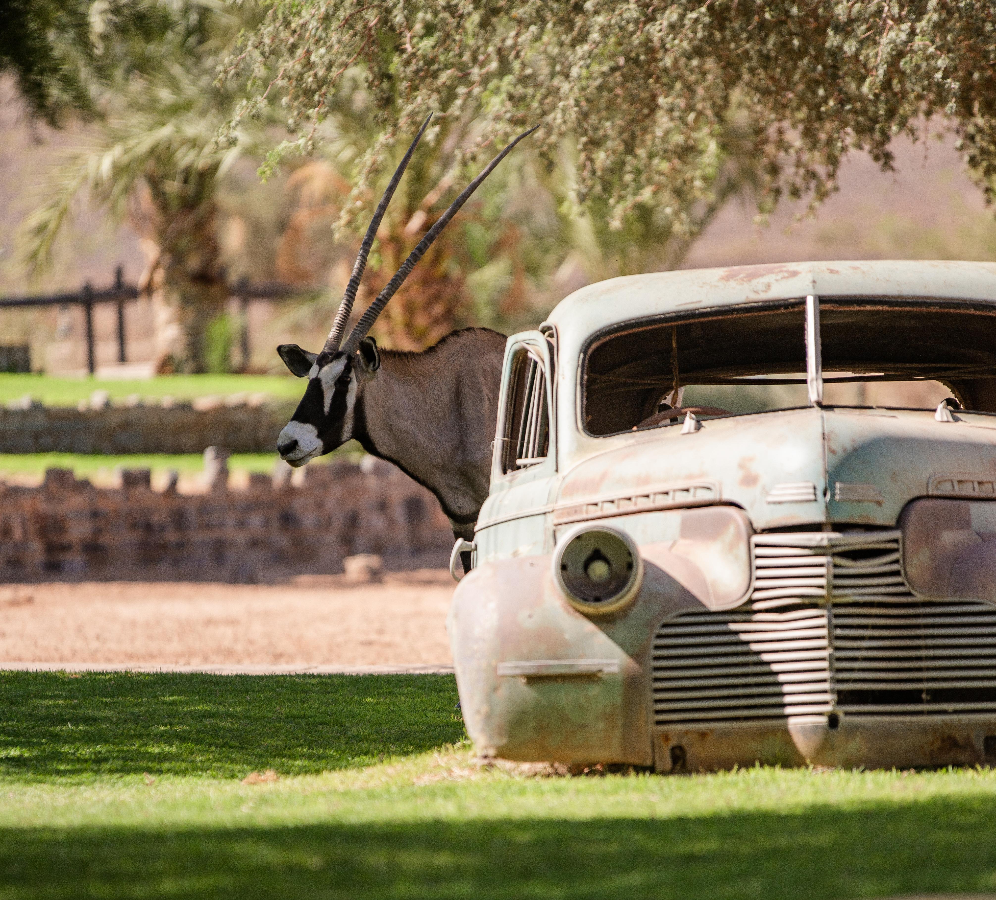 Canyon Roadhouse Fish River Canyon Εξωτερικό φωτογραφία